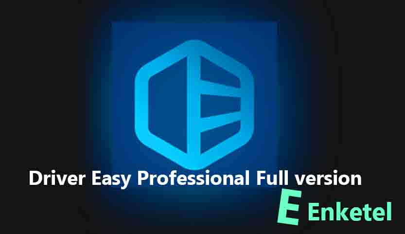 Driver Easy Professional Full version